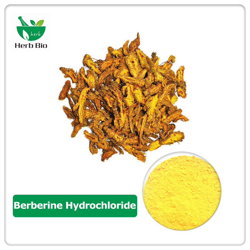 Berberine Hydrochloride