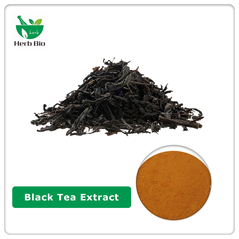 Black Tea Extract