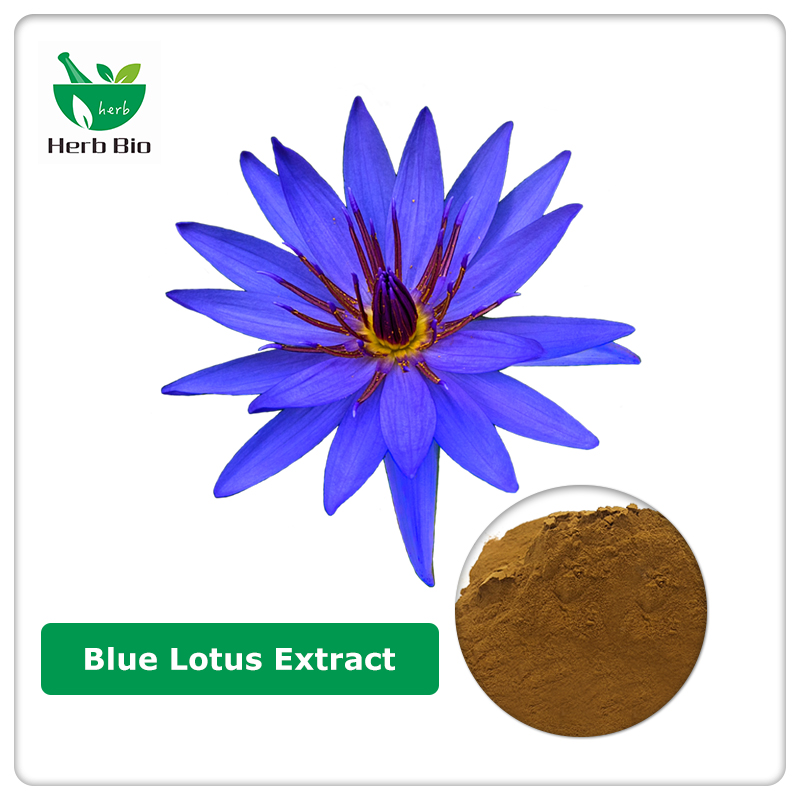 Blue Lotus Extract