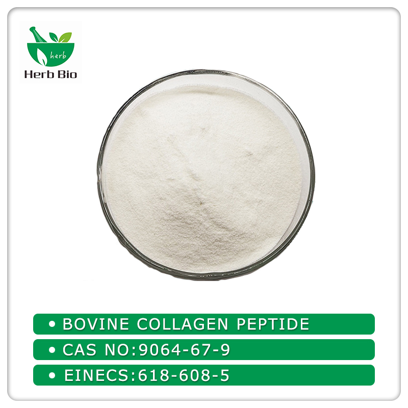 Bovine Collagen peptide
