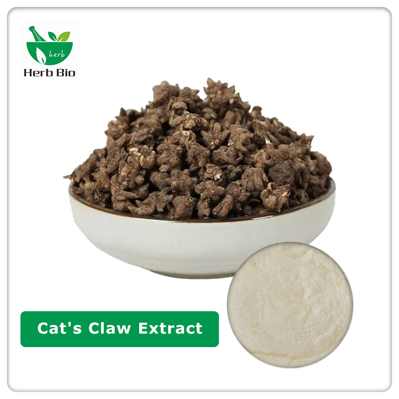 Cat's Claw Extract