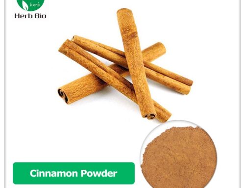 Cinnamon Powder