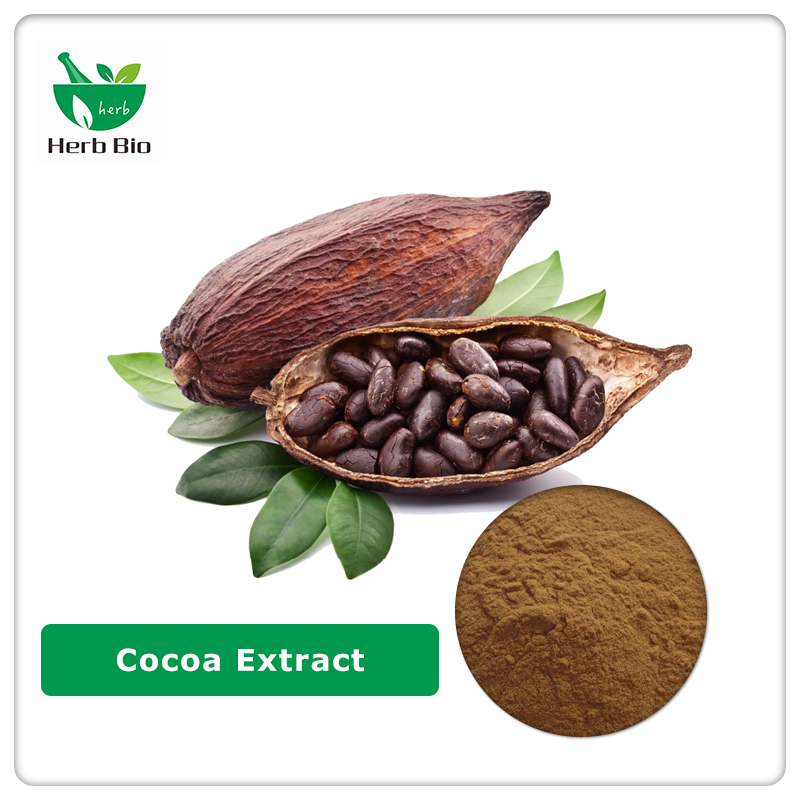 Cocoa Extract