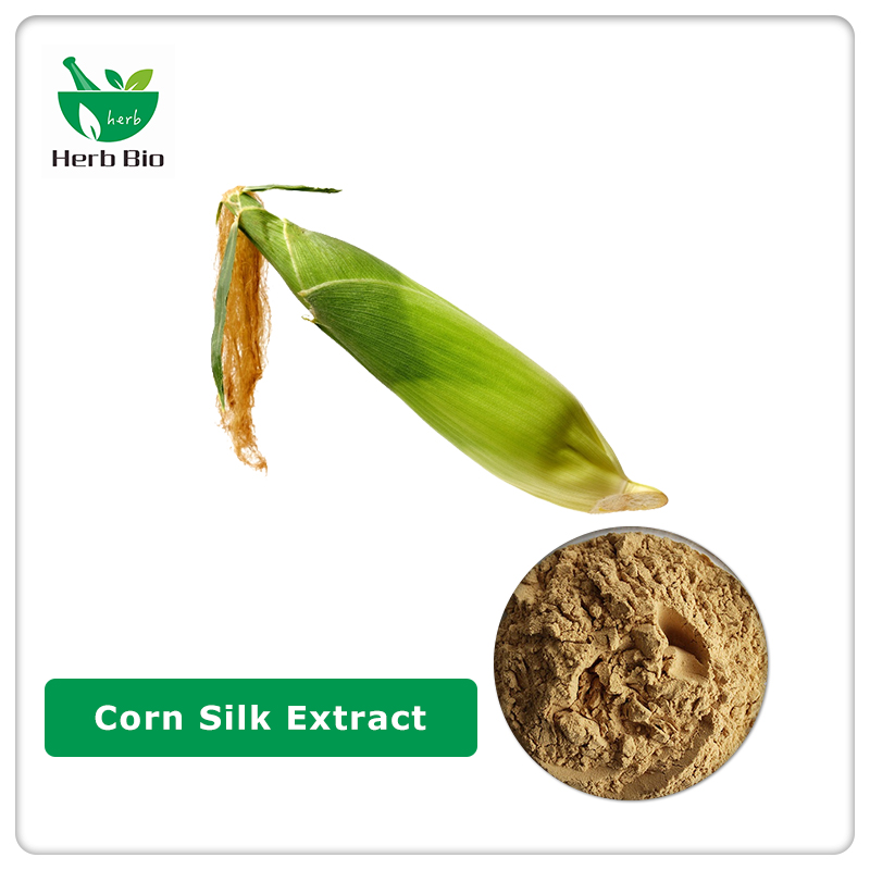 Corn Silk Extract