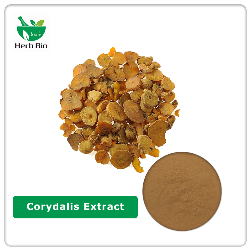 Corydalis extract