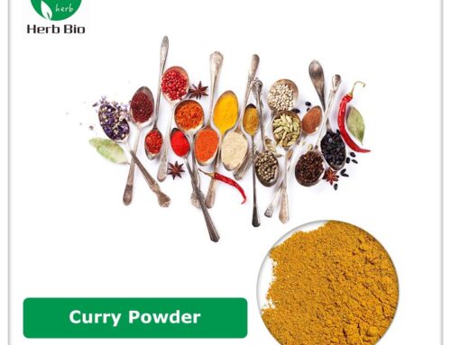 Curry Powder