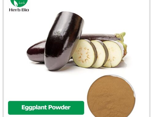 Eggplant Powder