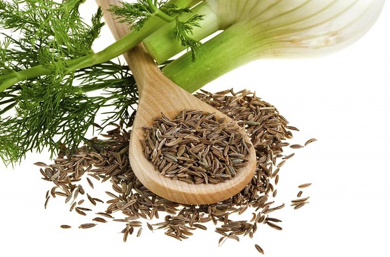 Fennel Seed Extract