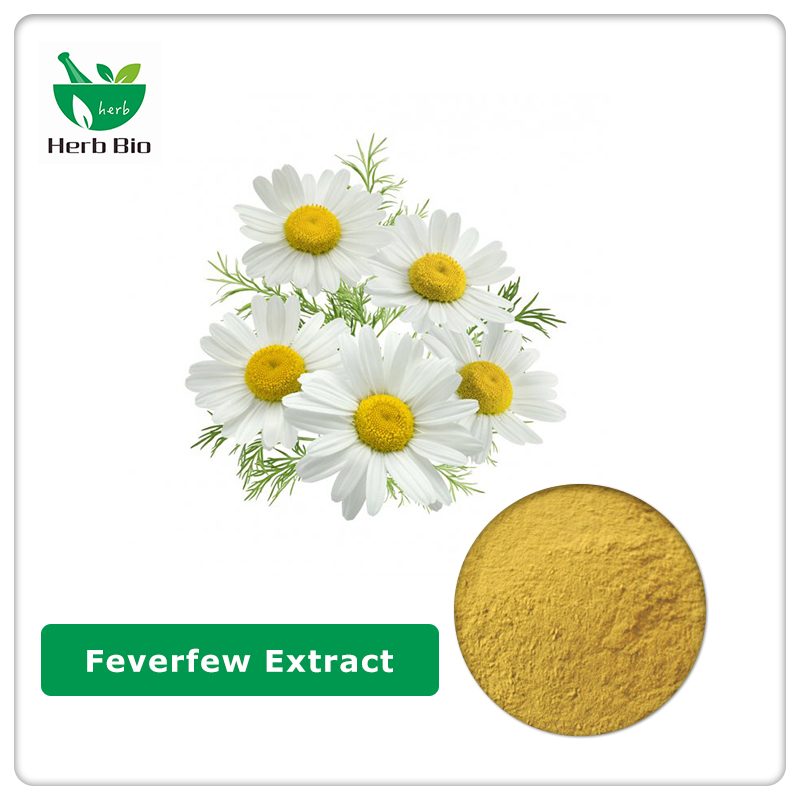 Feverfew Extract