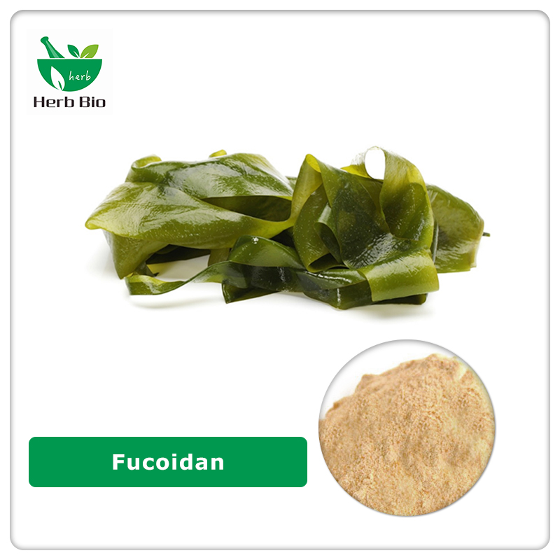 Fucoidan