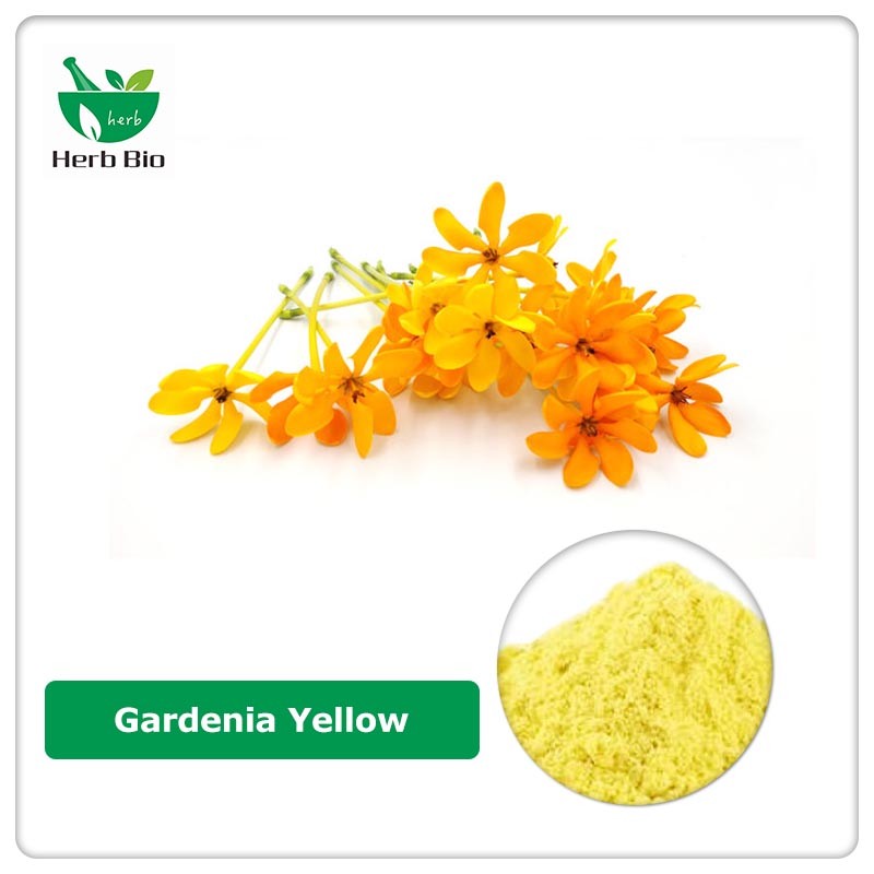 Gardenia Yellow