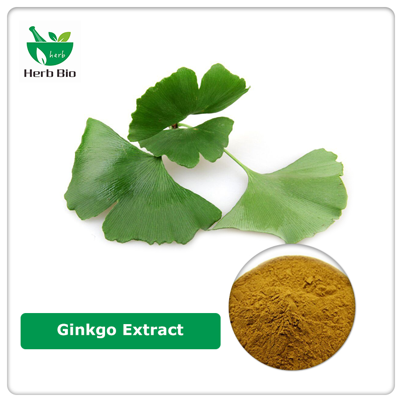 Ginkgo Extract