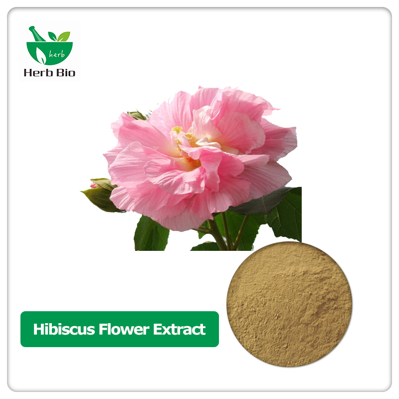 Hibiscus Flower Extract