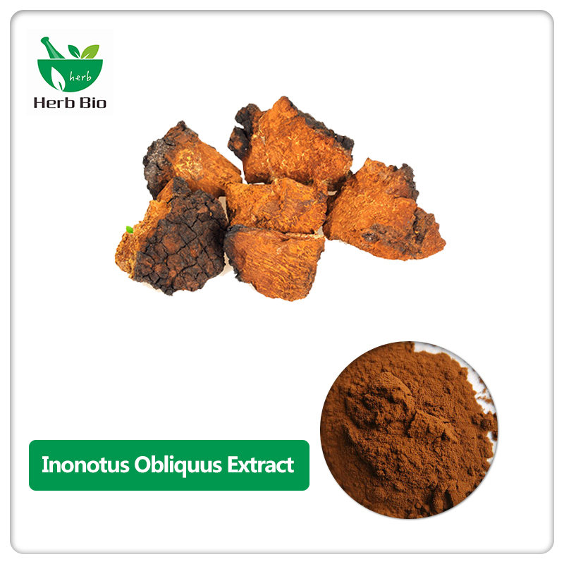 Inonotus Obliquus Extract