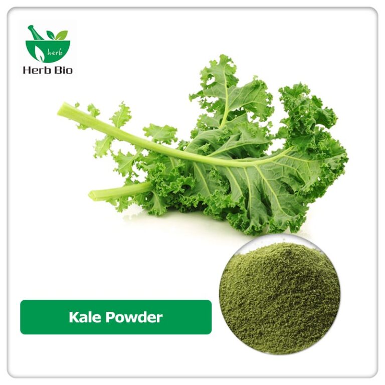 The Best Wholesales Kale Powder Chinese Suppliers - Xi'an Herb Bio