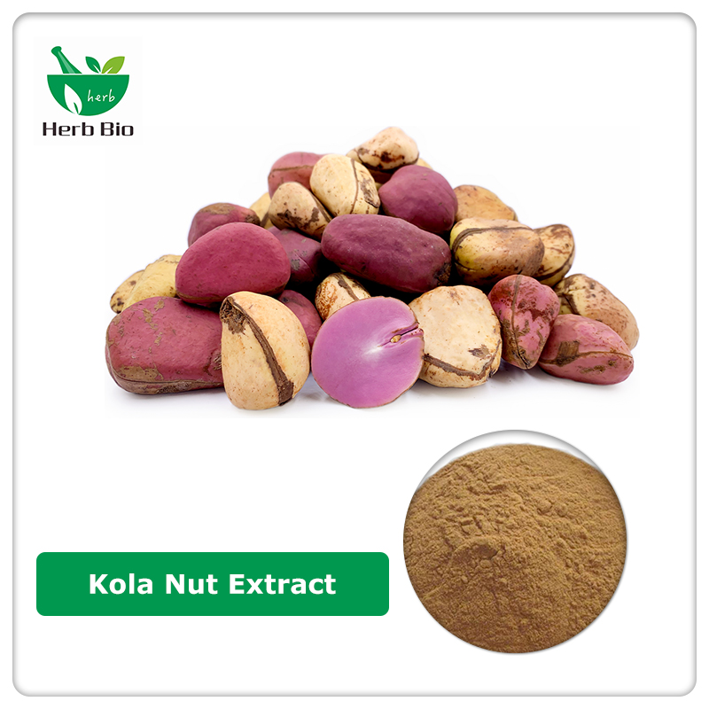 Kola Nut Extract