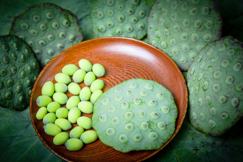 Lotus Seed Powder