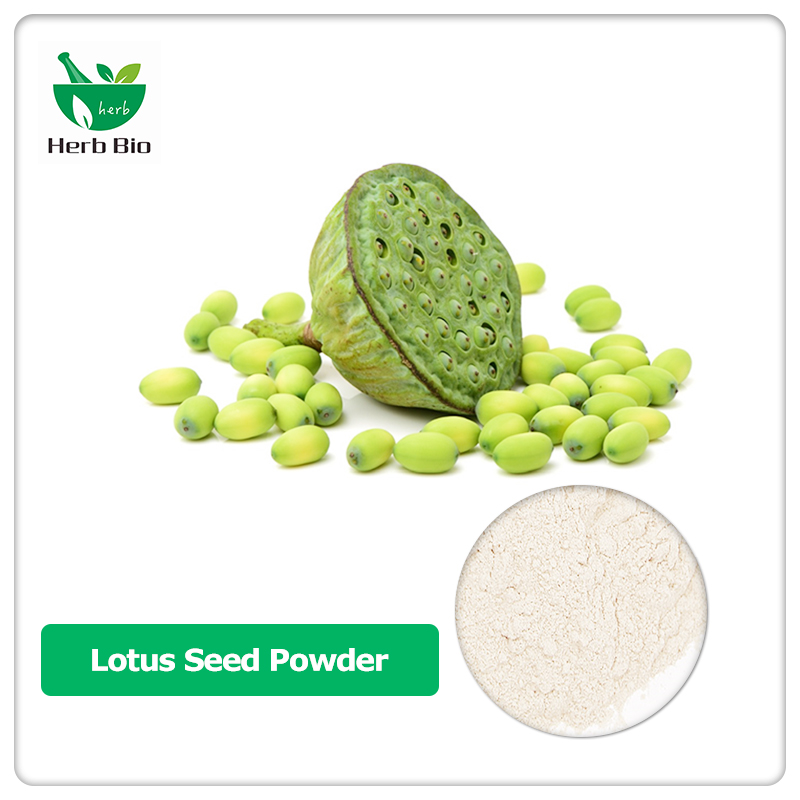 Lotus Seed Powder