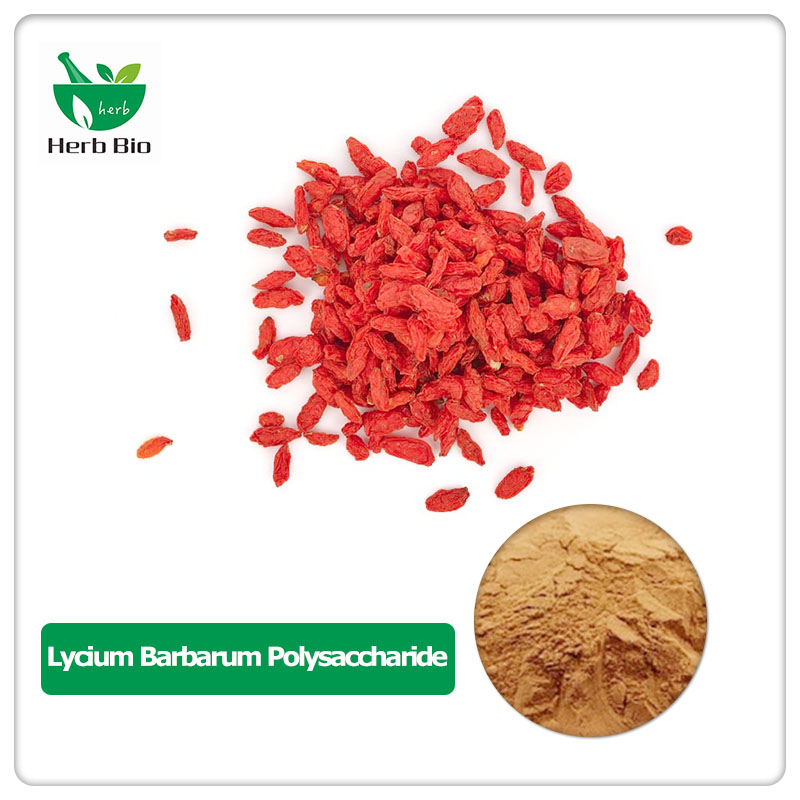 Lycium Barbarum Polysaccharide