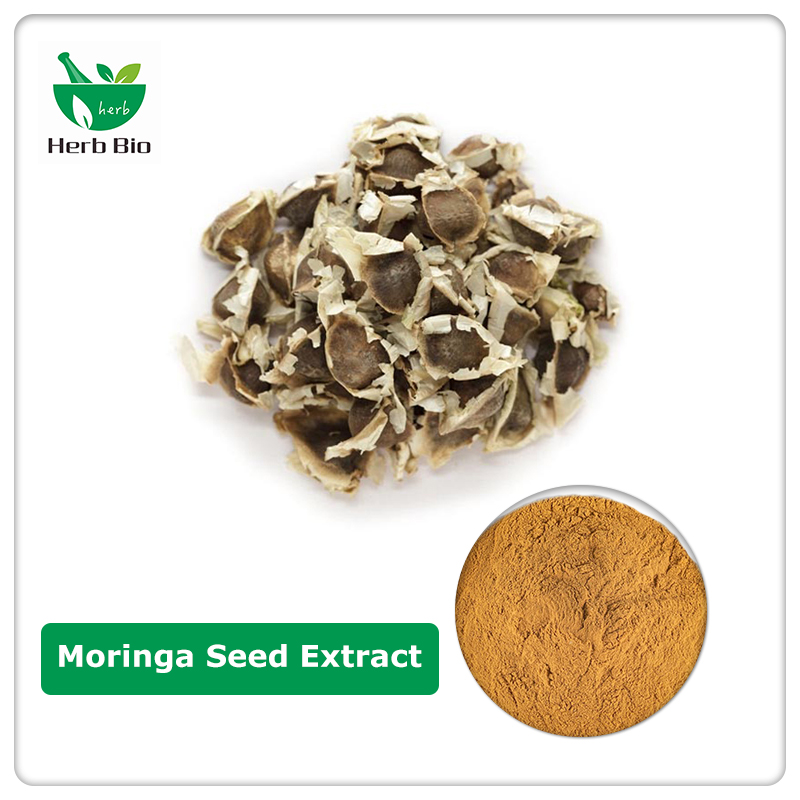 Moringa Seed Extract