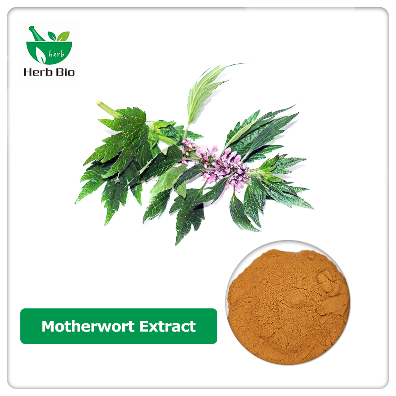 Motherwort Extract