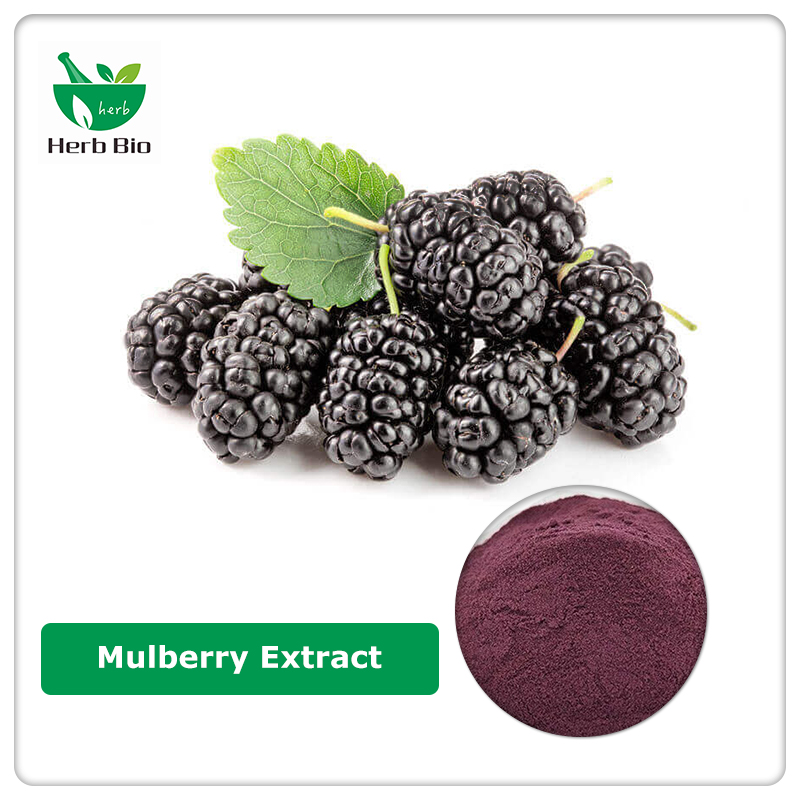 Mulberry Extract