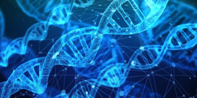 Nucleotide