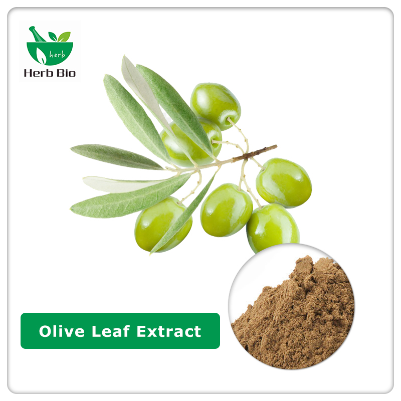 Olive Leaf Extract