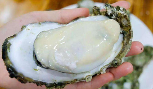 Oyster Extract