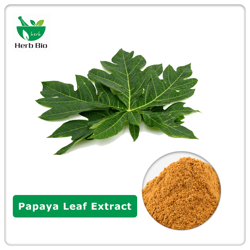 Papaya Leaf Extract