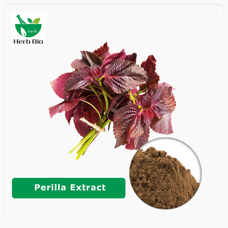 Perilla Extract