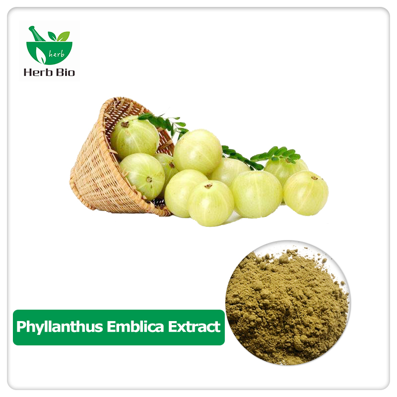 Phyllanthus emblica extract