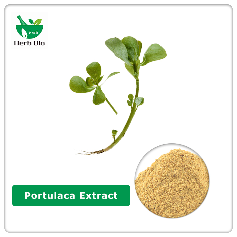 Portulaca Extract