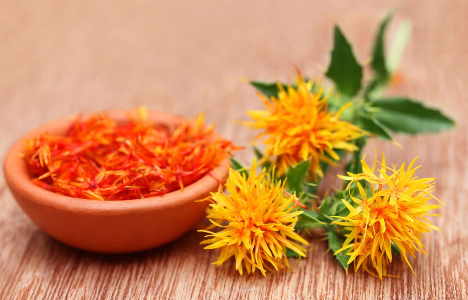 Safflower Extract