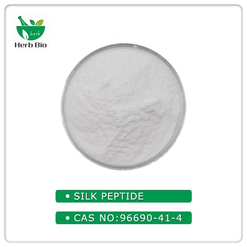 Silk Peptide