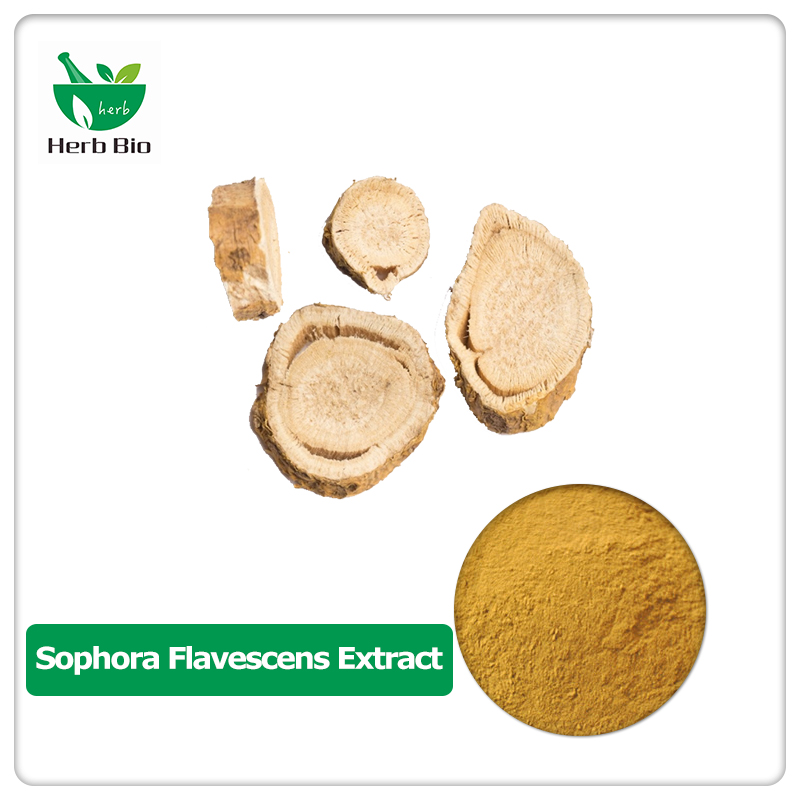 Sophora flavescens extract
