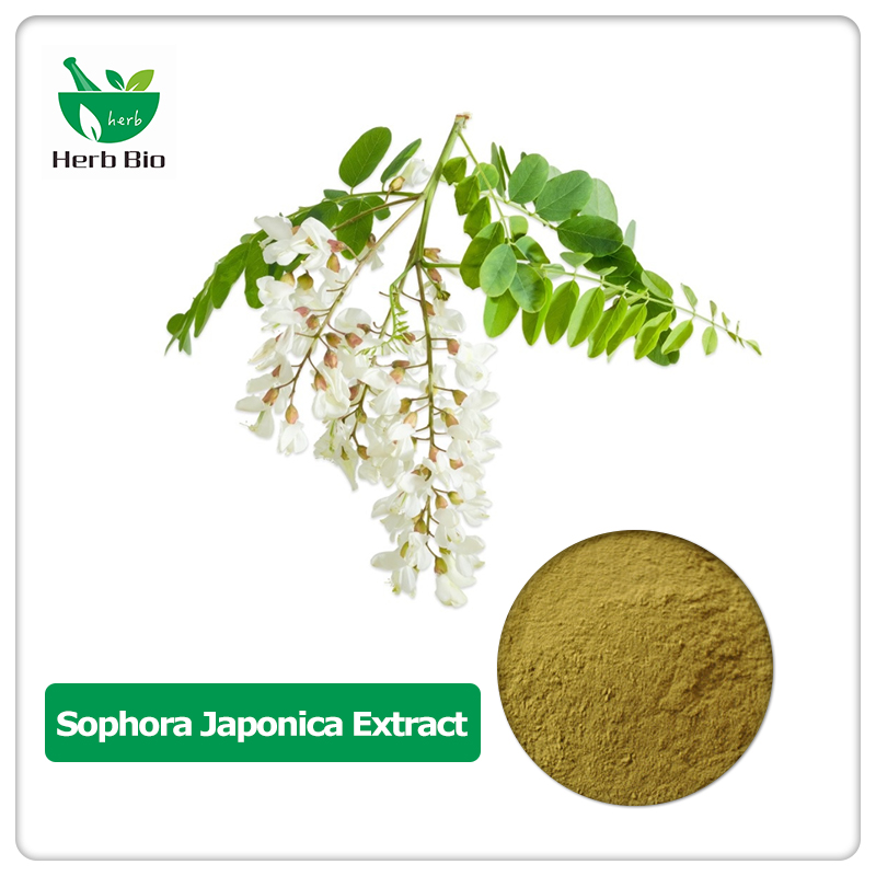 Sophora japonica extract