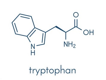 Tryptophan