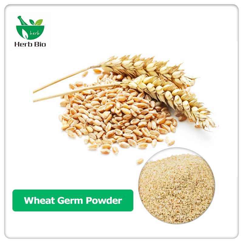 Wheat Germ Powder