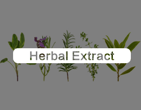 Herbal Extract Wholesale 