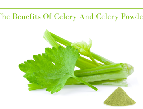 The Benefits Of Celery And Celery Powder