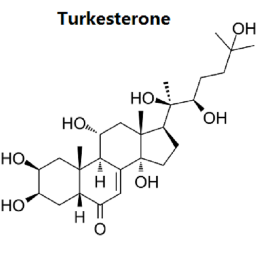 Turkesterone supplier