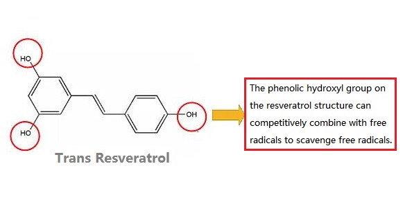 trans resveratrol