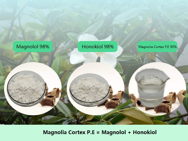 Magnolia Bark Extract