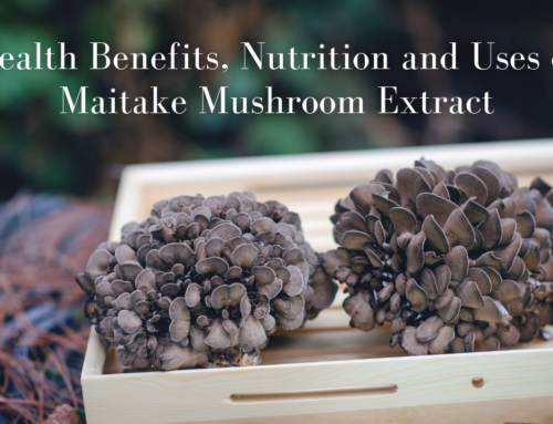 Health Benefits, Nutrition and Uses of Maitake Extract