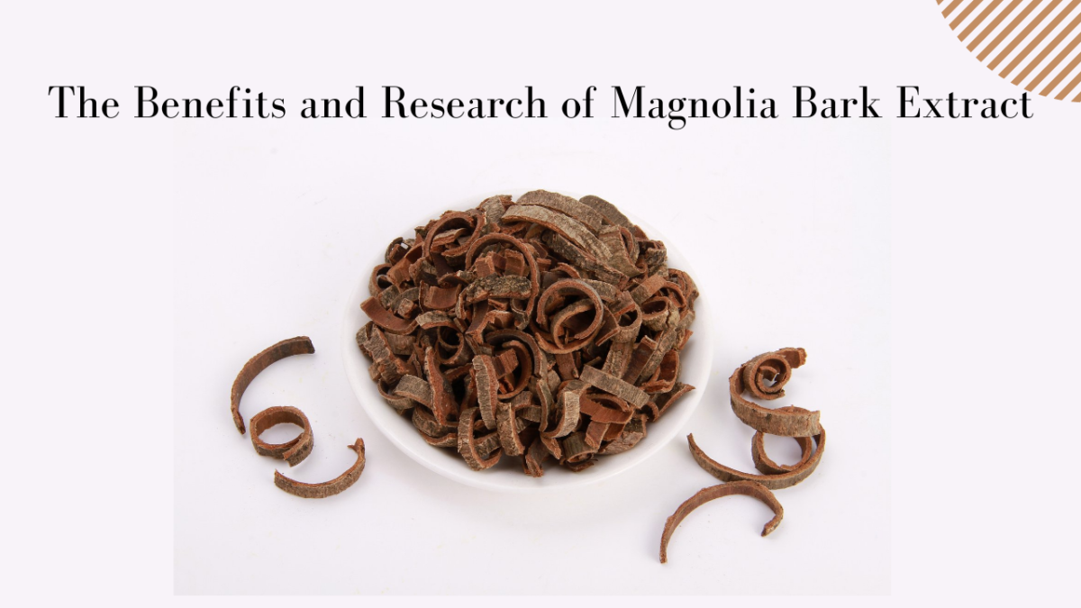 The Benefits Of Magnolia Bark Extract - Xi'an Herb Bio