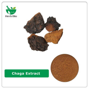 Chaga