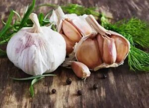 Garlic