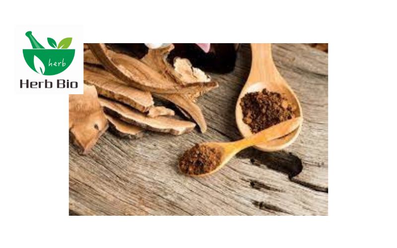 4 Different Mushroom Extract Powder Benefits Your Health!