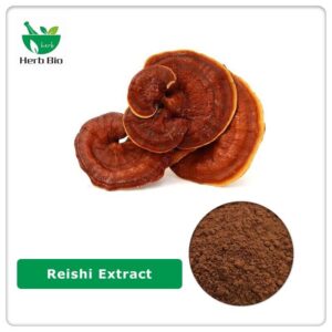 Reishi